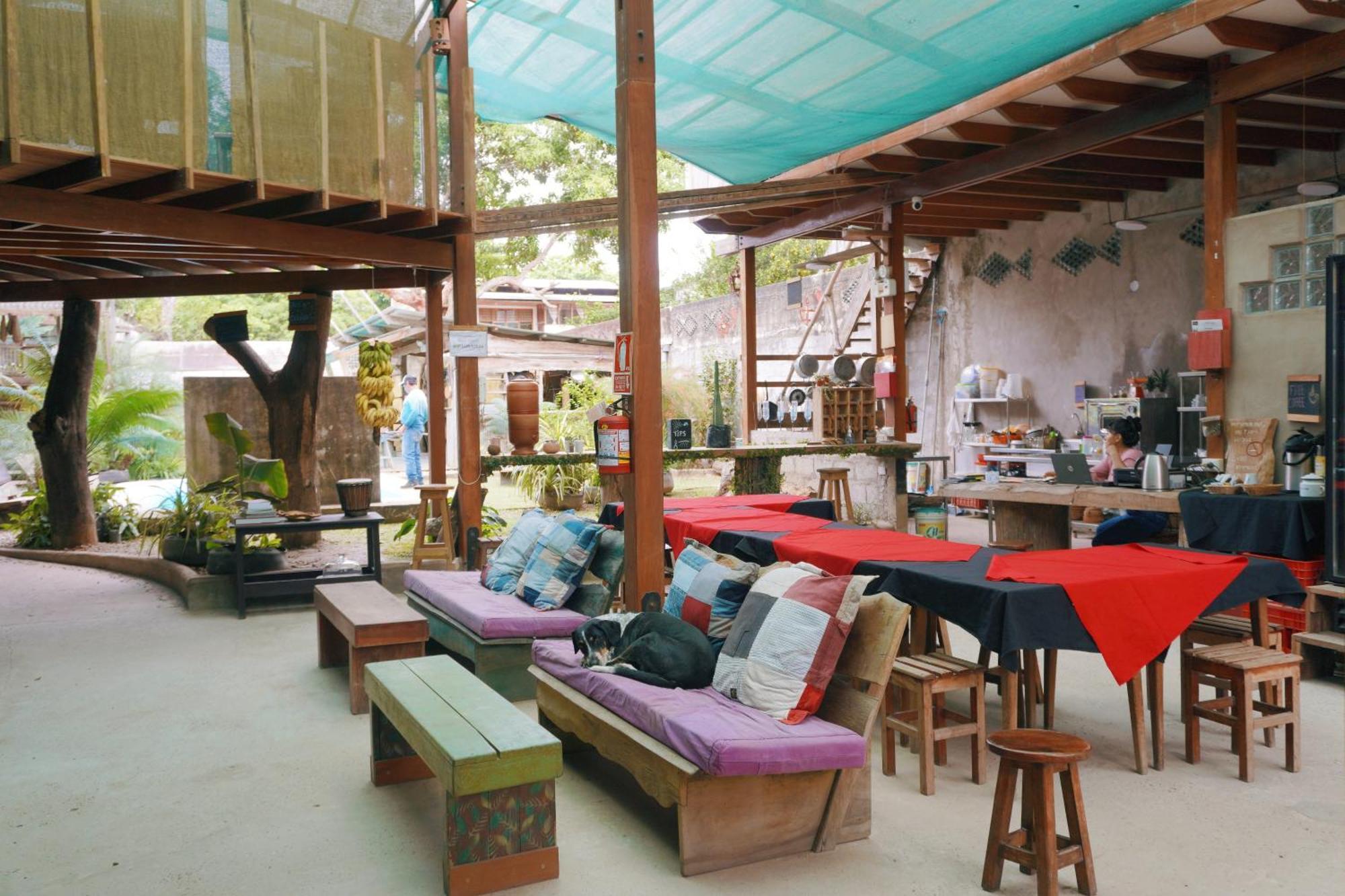 La Fauna Hotel 푸에르토말도나도 외부 사진